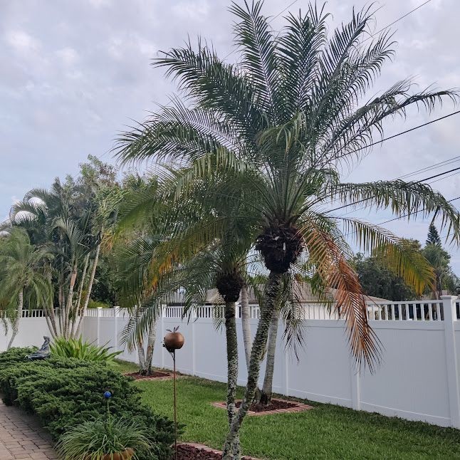 Fence cleaning service by Refresh Power Washing Inc. in North Fort Myers, FL